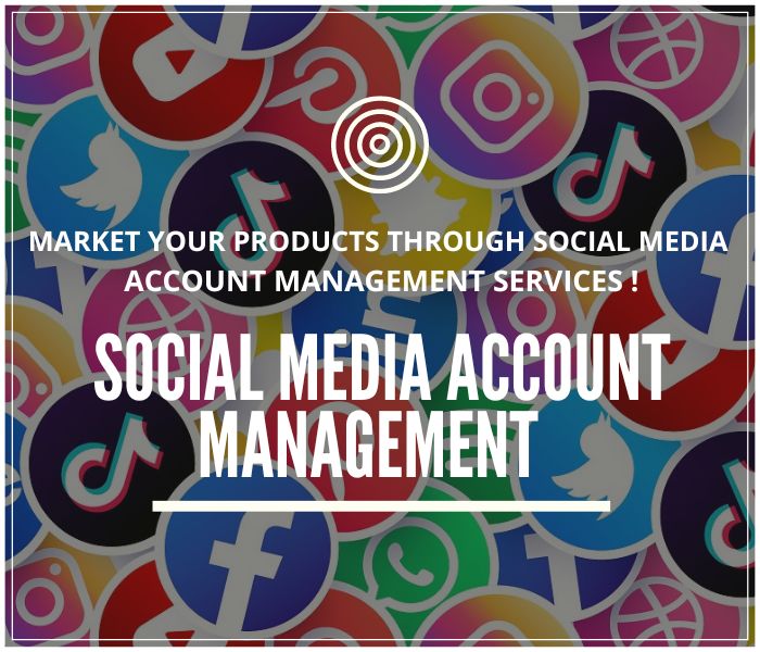 Social Media Accounts Management ( 60 Days Service Duration)